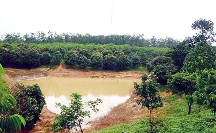 ঘুমধুমে পাহাড়ী ঢলে মৎস্য চাষীর ব্যাপক ক্ষতি