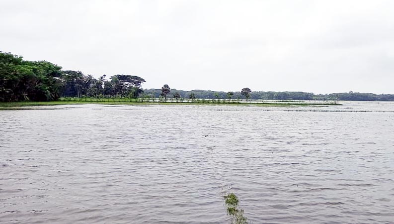 বৃষ্টি ও জোয়ারে ডুবছে কৃষকের স্বপ্ন !