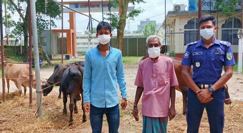 জামাই-শ্বশুরের গরু চুরি সিন্ডিকেট, অতপর: শ্রীঘরে