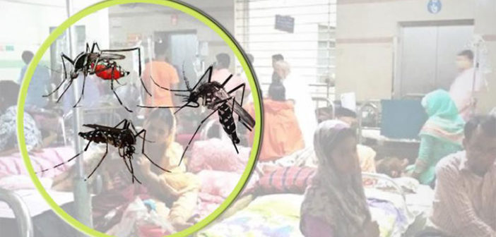 ডেঙ্গুতে ২৪ ঘন্টায় আরও ১৪ জনের মৃত্যু