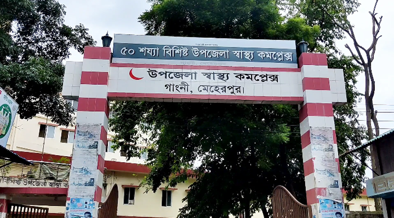 গাংনীতে সড়ক দুর্ঘটনায় গৃহবধুর মৃত্যু