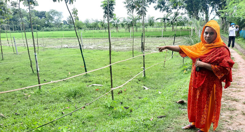 ১৪৪ ধারা ভঙ্গ করে জমি দখলের অভিযোগ