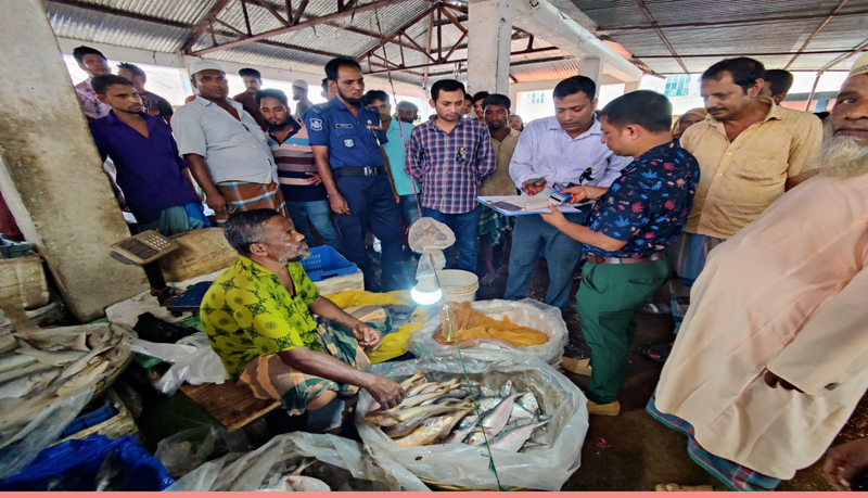 কাউখালীতে রং মিশিয়ে মাছ বিক্রি, ভ্রাম্যমান আদালত অর্থদণ্ড