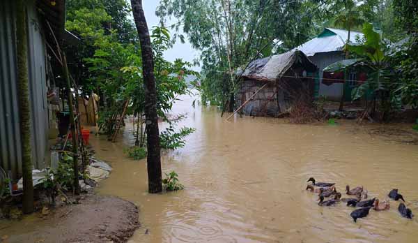 কুমিল্লায় গোমতী নদীতে পানি বেড়ে বন্যার আশঙ্কা