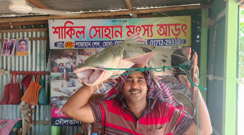 পদ্মার এক বাগাইড় ২৩ হাজারে বিক্রি