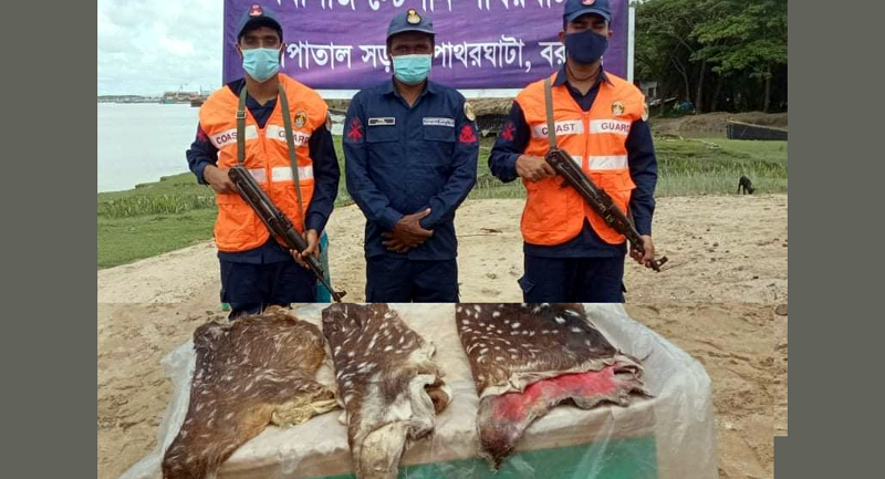 বরগুনায় কোস্টগার্ডের অভিযানে হরিনের চামড়া জব্দ