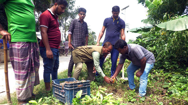 বজ্রপাত প্রতিরোধে ঝিনাইদহে দুই হাজার তালবীজ বিতরণ