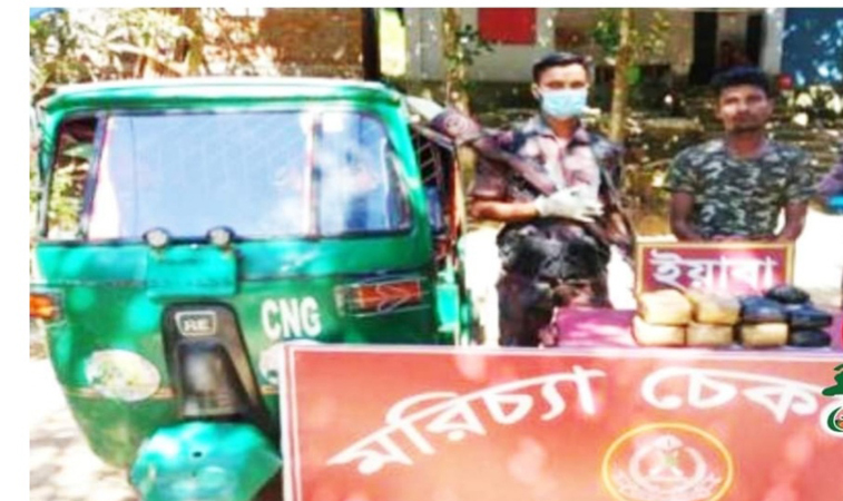 বিজিবি'র চেকপোস্টে ৭০ হাজার পিস ইয়াবাসহ আটক-১