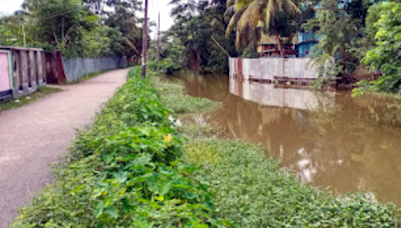 কলাপাড়ায় চাষযোগ্য কৃষিজমি দেখিয়ে প্রবাহমান খাল বন্দোবস্ত !