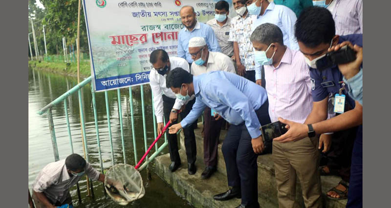 জাতীয় মৎস্য সপ্তাহ উপলক্ষে বরিশালে মাছের পোনা অবমুক্ত