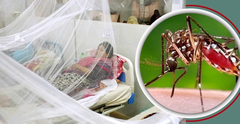 বাড়ছে ডেঙ্গুর প্রকোপ, চার দিনে ৯ হাজারের বেশি রোগী