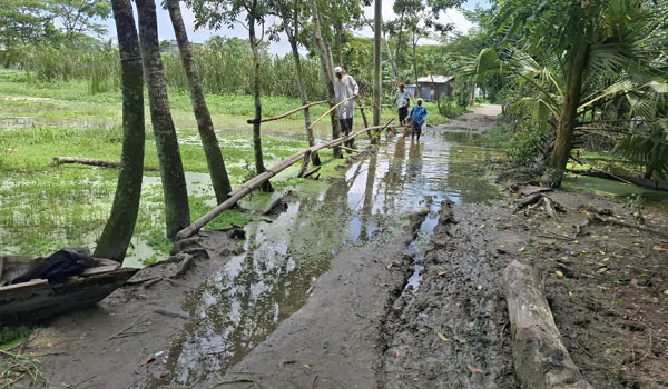 সড়কে সাঁকো দিয়ে চলাচল করছেন বরিশাল সিটির বাসিন্দারা !