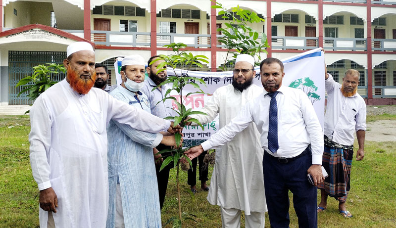 ধামইরহাটে আল আরাফাহ ইসলামী ব্যাংকের উদ্যোগে বৃক্ষরোপণ