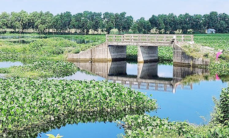 নরসিংদীতে সংযোগ সড়কবিহীন সেতু !