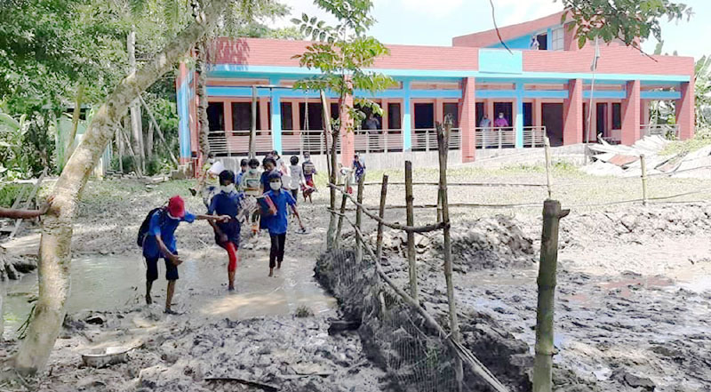 বিদ্যালয়ের মাঠ দখল করে ধান ও কলাগাছ রোপণের অভিযোগ