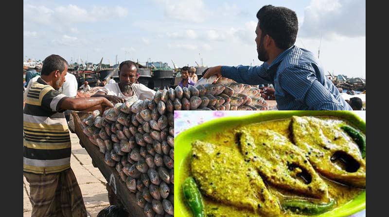 দুর্গাপূজায় ভারতে যাচ্ছে ২ হাজার টন ইলিশ