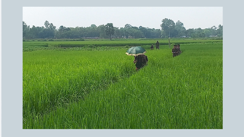 সীমান্তে বিএসএফের কাঁটাতারের বেড়া নির্মাণে বিজিবির বাধায় ফিরে গেল