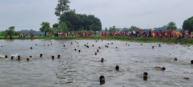 নওগাঁয় ঐতিহ্যবাহী পুকুরে হাঁস ধরা উৎসব