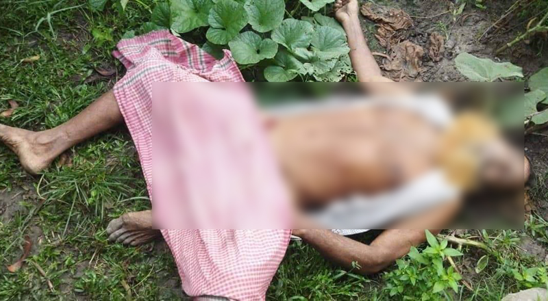 দেবীদ্বারে নির্জন বিল থেকে উলঙ্গবস্থায় মরদেহ উদ্ধার