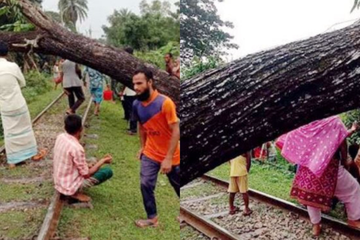 রেললাইনে উপড় গাছ, ঢাকা-ময়মনসিংহ রুটে ট্রেন চলাচল বন্ধ