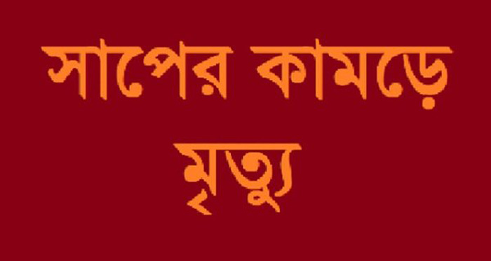 কুষ্টিয়ায় সাপের কামড়ে স্কুলছাত্রীর মৃত্যু