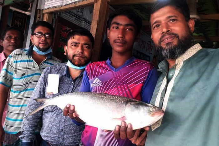 তজুমদ্দিনে রানী ইলিশ ৫৫০০ টাকায় বিক্রি !