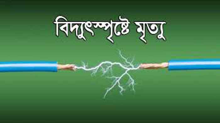 ধামইরহাটে বিদ্যুৎপৃষ্টে আদিবাসী কৃষকের মৃত্যু