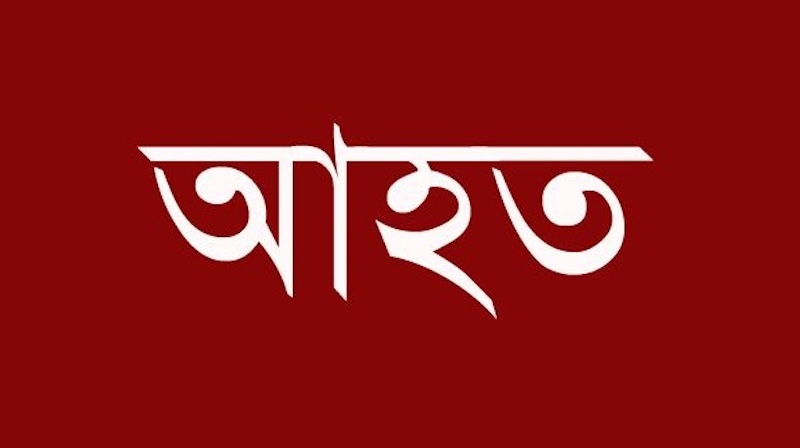 মহেশপুরে ধূর পাচারকারীদের হামলায় দুই গ্রামবাসী আহত