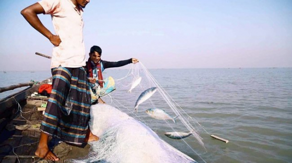 আজ থেকে ২২ দিন ইলিশ ধরা বন্ধ