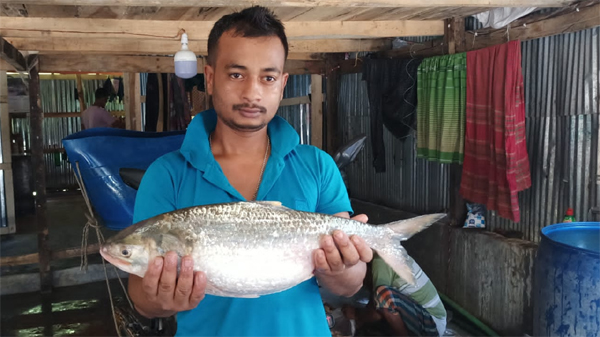 সমুদ্রে ধরা পড়লো দুই কেজির ইলিশ