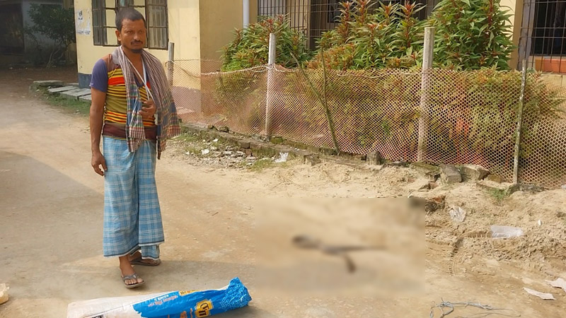 সাপ নিয়ে হাসপাতালে হাজির সাপে কাটা রোগী