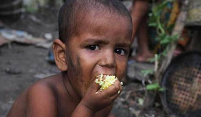 বিশ্ব ক্ষুধা সূচক: ভারত-পাকিস্তানের চেয়ে এগিয়ে বাংলাদেশ