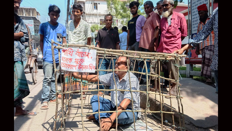 পাখির মুক্ত বিচরণে খাঁচায় ঢুকে ব্যতিক্রমী প্রচারণা যুবকের