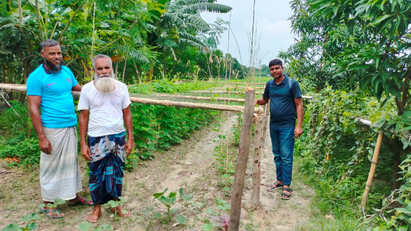 শীতকালীন সবজি চাষে ব্যস্ত আত্রাইয়ের কৃষকরা