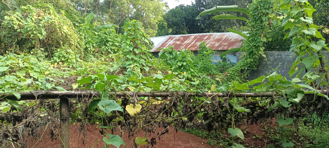 মাদারীপুরে শহীদ মুক্তিযোদ্ধার পরিবার ১৫ বছর ধরে অবরুদ্ধ