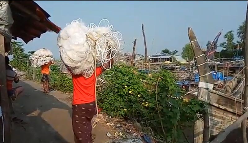 আজ মধ্যরাত থেকে শেষ হচ্ছে ইলিশ শিকারে ২২ দিনের নিষেধাজ্ঞা