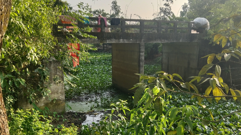 আট বছর পরেও অব্যবহৃত ব্রিজ: প্রশ্ন উঠছে নির্মাণের যৌক্তিকতা