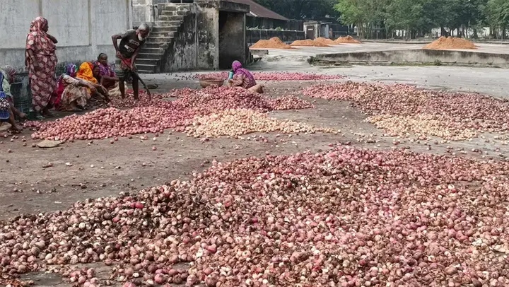 হিলি বন্দরে পেঁয়াজে পচন: আমদানিকারকদের লোকসান