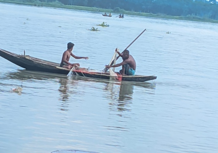 রাজাপুরে নিষেধাজ্ঞা অমান্য করে ইলিশ শিকার: মৎস্য কর্মকর্তাদের কার্যক্রম প্রশ্নবিদ্ধ