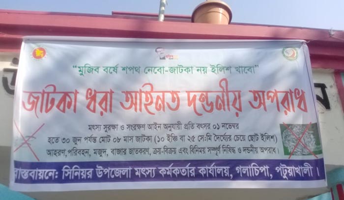 গলাচিপায় জাটকা শিকার বন্ধ থাকবে আট মাস