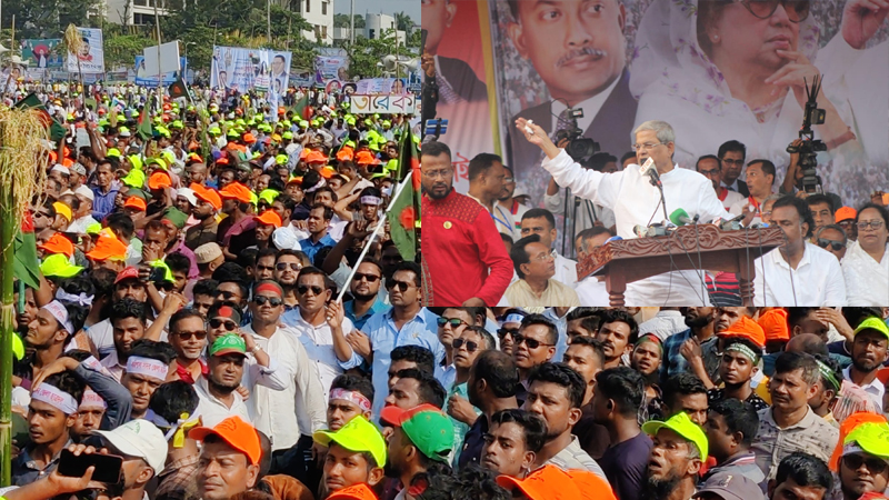 সংসদ বিলুপ্ত করে সরকারকে পদত্যাগ করতে হবে: মির্জা ফখরুল