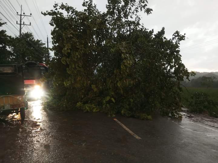 গত রাতে খাগড়াছড়িতে আকস্মিক ঝড়ে ক্ষয়ক্ষতি, বজ্রপাতে নিহত ২