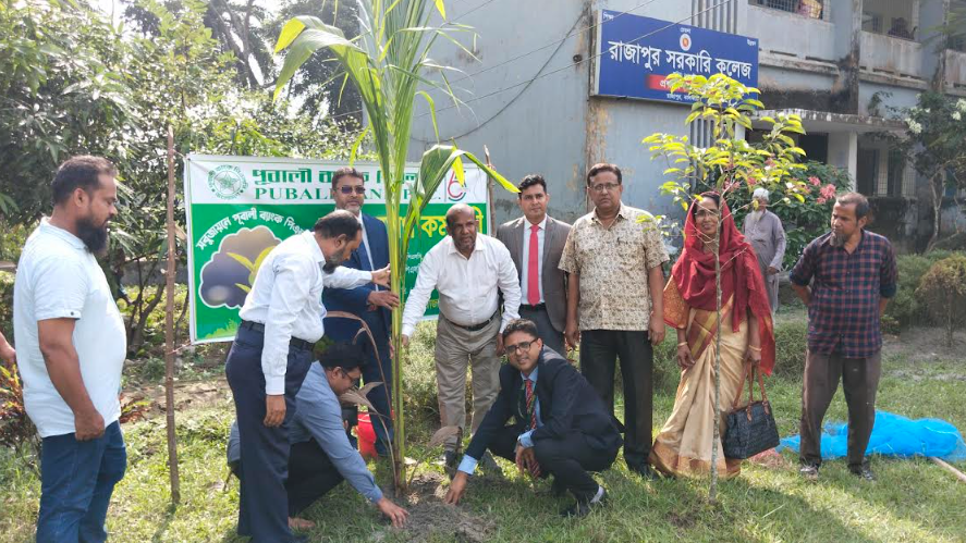 রাজাপুরে পূবালী ব্যাংক পিএলসির বৃক্ষরোপণ