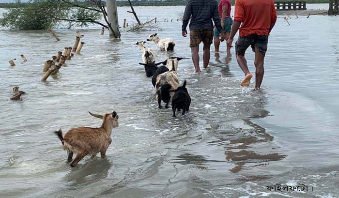 জলবায়ু পরিবর্তন: সাতক্ষীরা উপকূলে বড় ঘূর্ণিঝড়ের ঝুঁকি