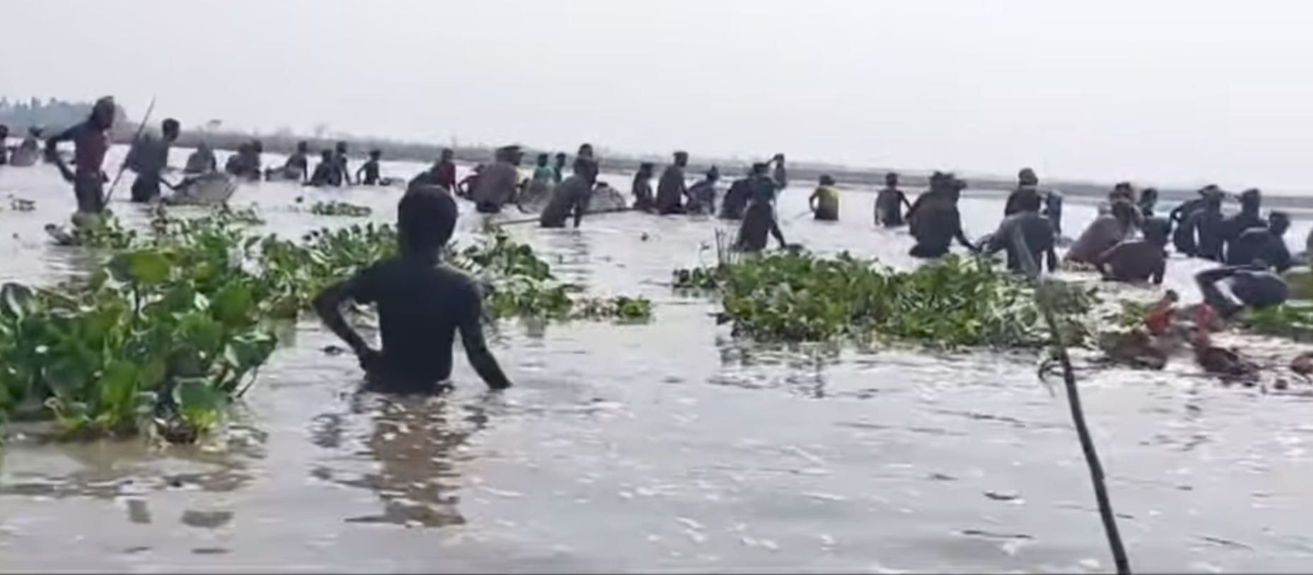 শ্রীমঙ্গলে 'পলো বাওয়া' উৎসবে দর্শনার্থীদের উপচেপড়া ভিড়