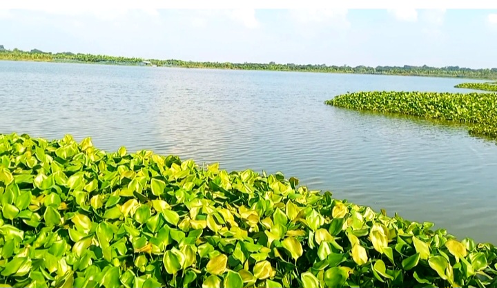 রাজশাহীর দূর্গাপুরে সরকারি জলাশয় দখলের অভিযোগ, কৃষকরা ক্ষুব্ধ