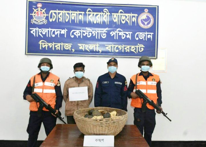 মোংলায় আটক ১"বিরল প্রজাতির ৫৫ কচ্ছপ উদ্ধার