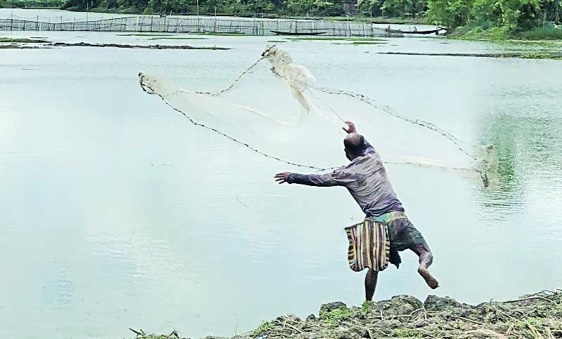 মুঠোফোন আর মাছ ধরায় স্বামীর আসক্তি, বিবাহবিচ্ছেদ চান স্ত্রী!