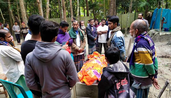 নেছারাবাদে গাছ কাটতে গিয়ে যুবকের মৃত্যু