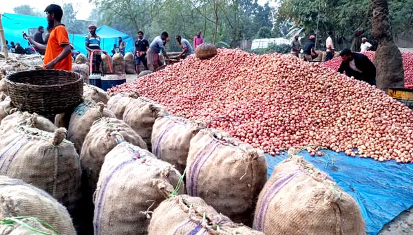 হিলির অস্থায়ী হাটের আলু চাহিদা মিটাচ্ছে সারাদেশে